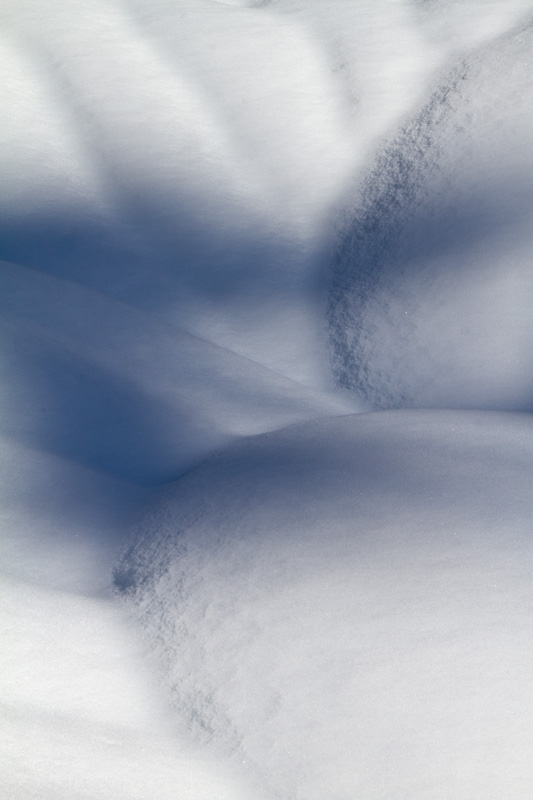 Melt Patterns In Snow